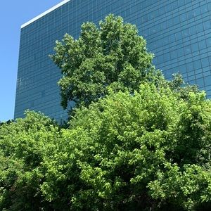 Meet your Posher, Dhina